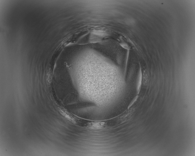 X0000082990474200702160028