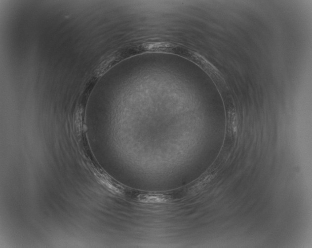 X0000082990475200702160028