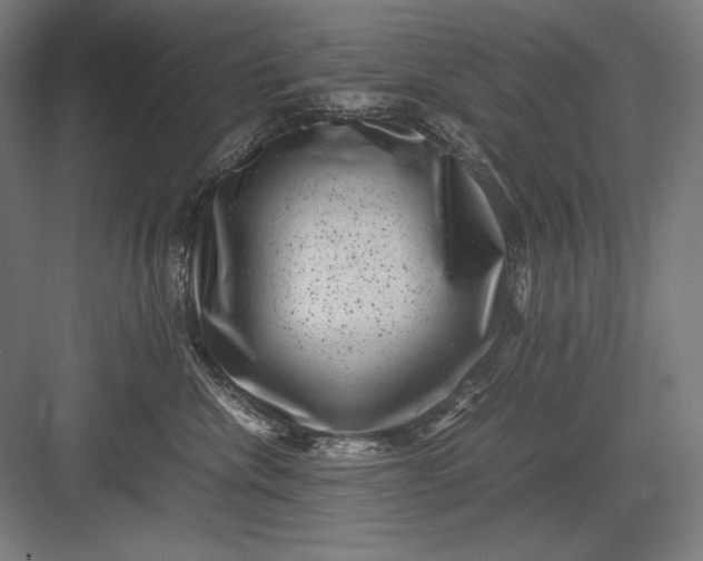 X0000082990476200702160028