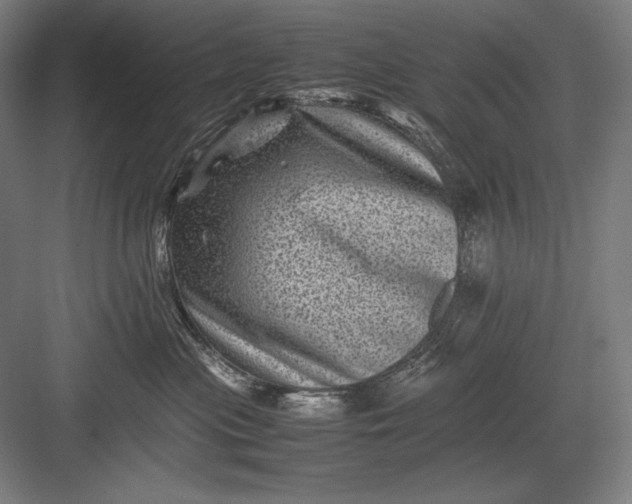 X0000082990477200702160028