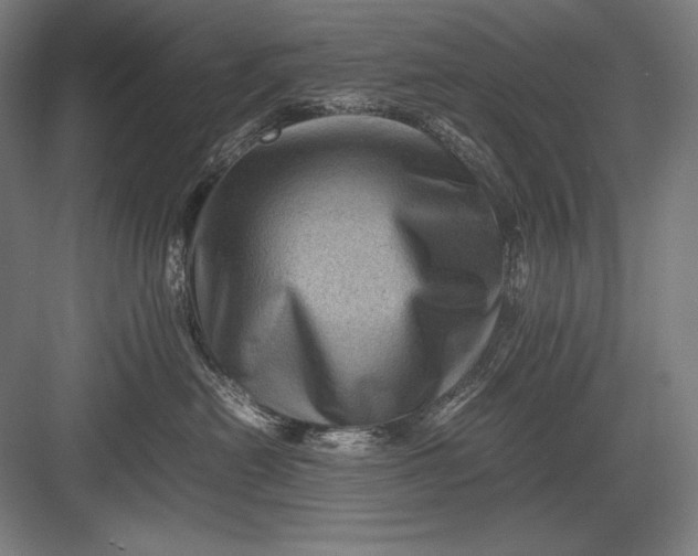 X0000082990478200702160028