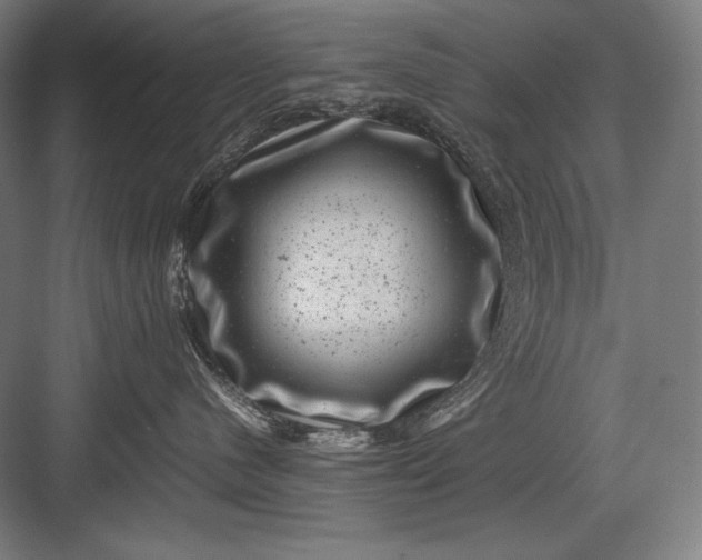 X0000082990480200702160028