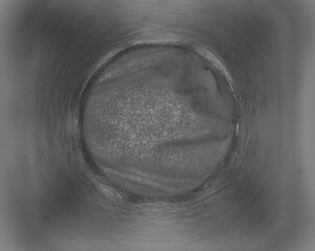 X0000082990483200702160027