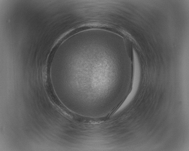 X0000082990484200702160027