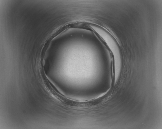 X0000082990485200702160027