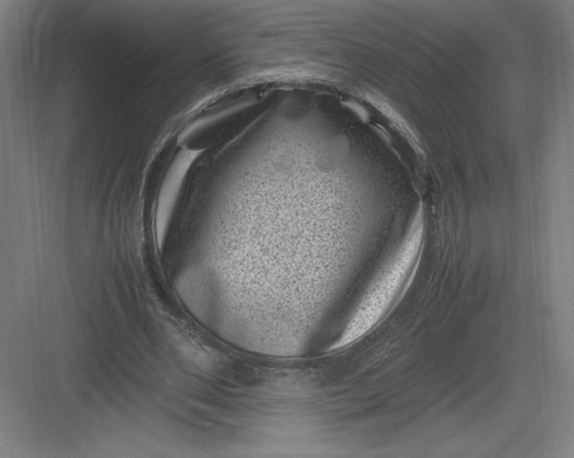 X0000082990486200702160027