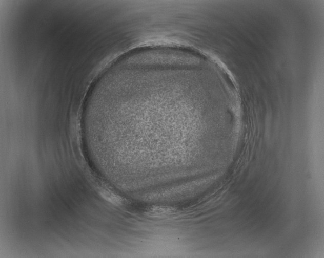 X0000082990487200702160027