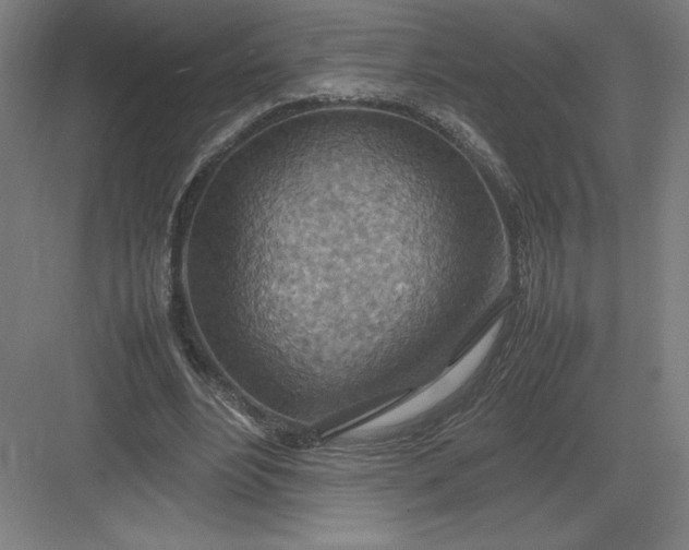 X0000082990488200702160027