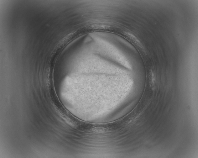 X0000082990490200702160027