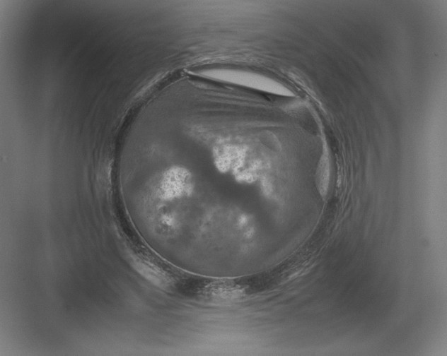 X0000082990491200702160027