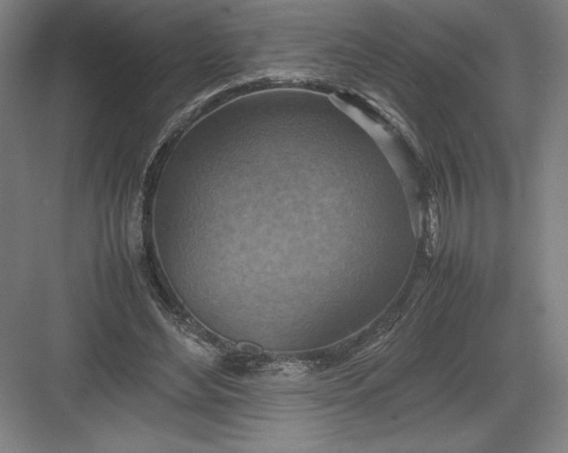 X0000082990492200702160027