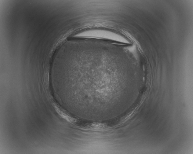 X0000082990493200702160027