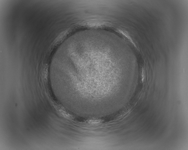 X0000082990495200702160027