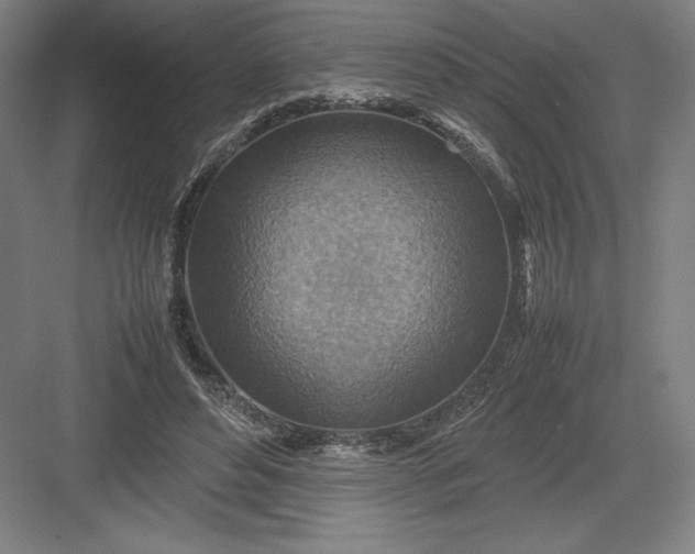 X0000082990496200702160027