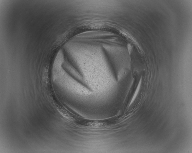 X0000082990497200702160027