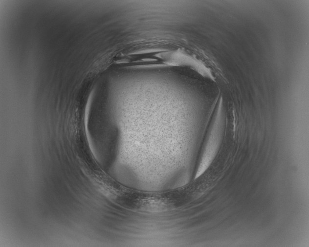 X0000082990498200702160027