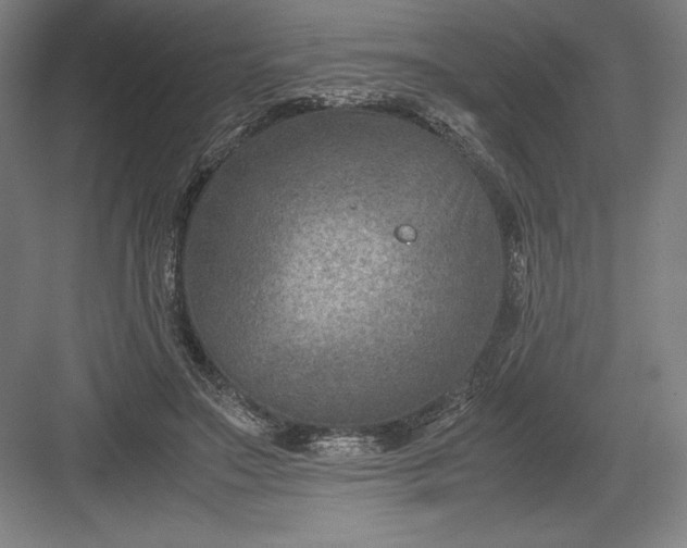 X0000082990499200702160027