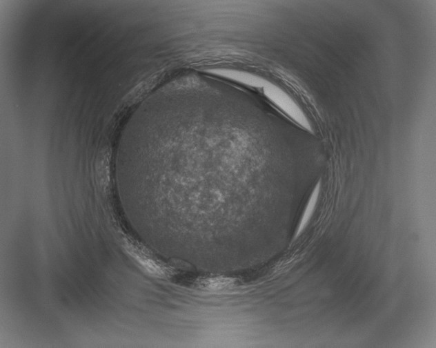 X0000082990501200702160027