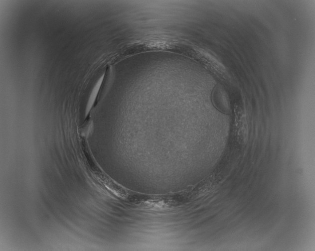 X0000082990502200702160027