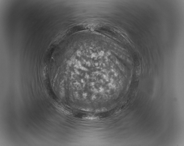 X0000082990503200702160027