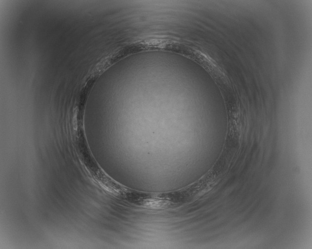 X0000082990504200702160027