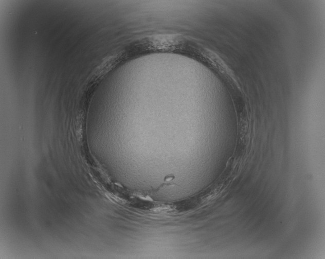 X0000082990505200702160027