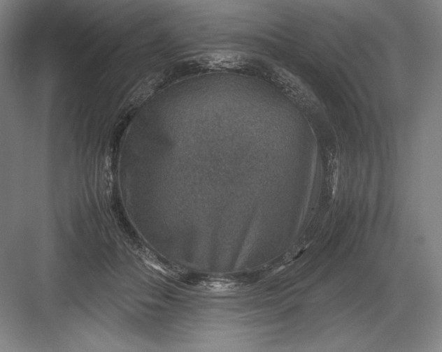 X0000082990506200702160027