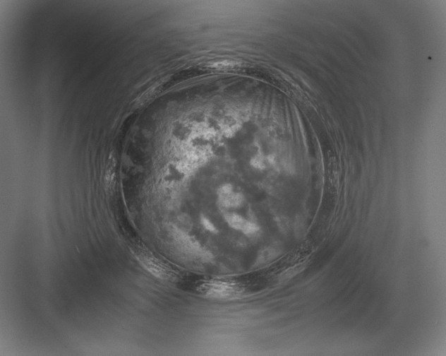 X0000082990507200702160027