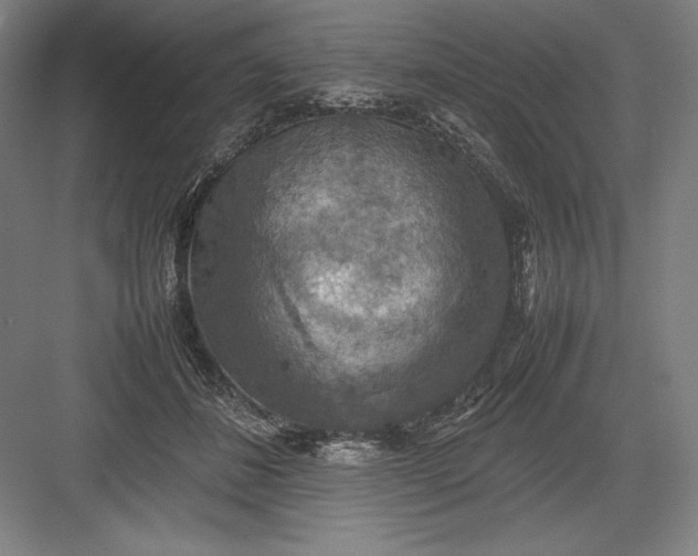 X0000082990508200702160027