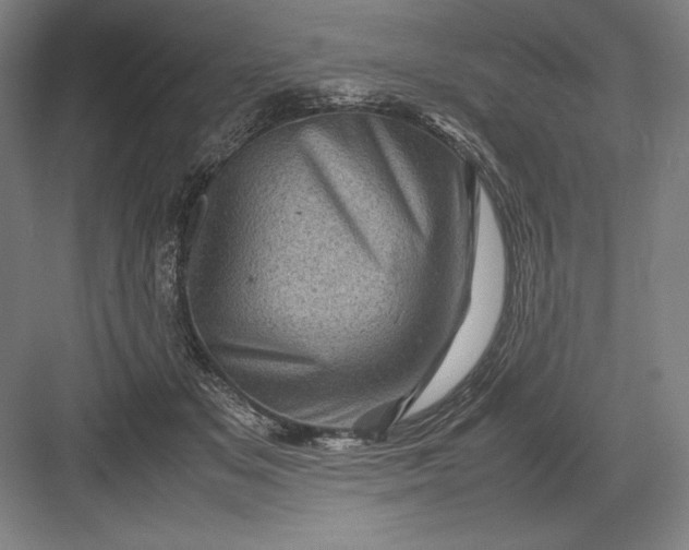 X0000082990509200702160027