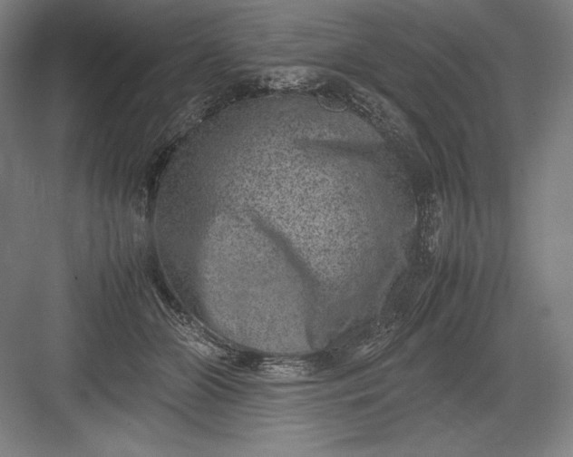 X0000082990510200702160027