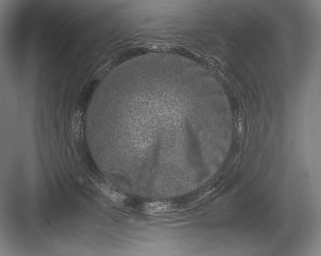 X0000082990511200702160027