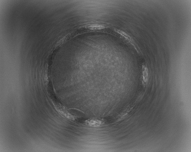 X0000082990512200702160027