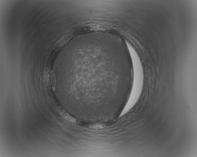 X0000082990513200702160027