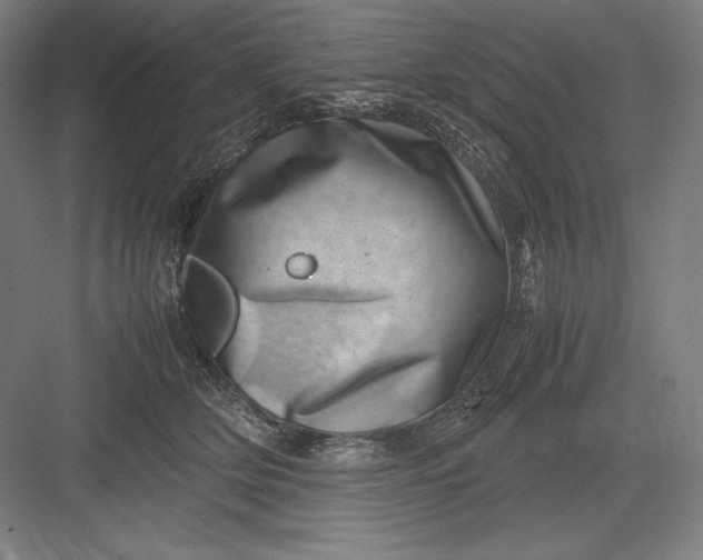 X0000082990514200702160027