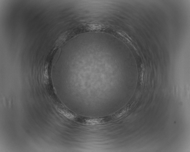 X0000082990516200702160027