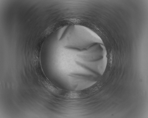 X0000082990518200702160027