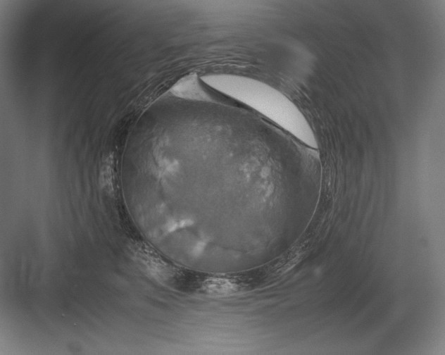 X0000082990519200702160027