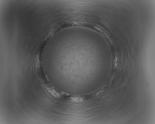 X0000082990520200702160027