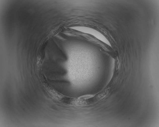 X0000082990521200702160027