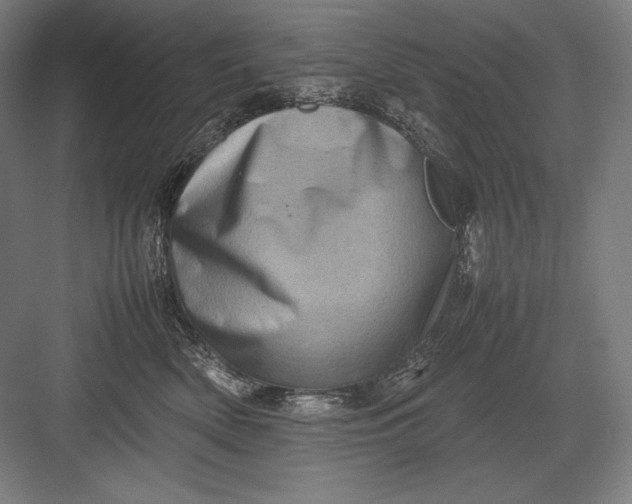 X0000082990522200702160027