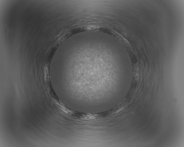 X0000082990523200702160027