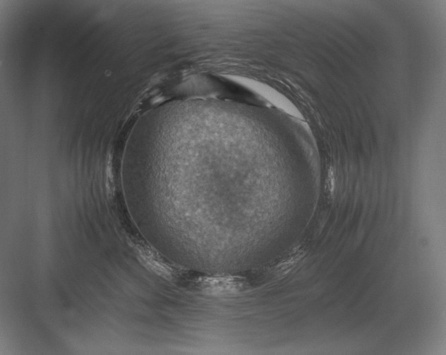 X0000082990524200702160027