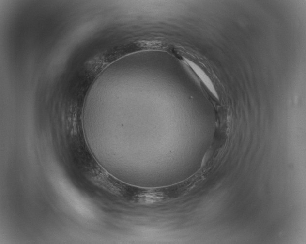 X0000082990525200702160027