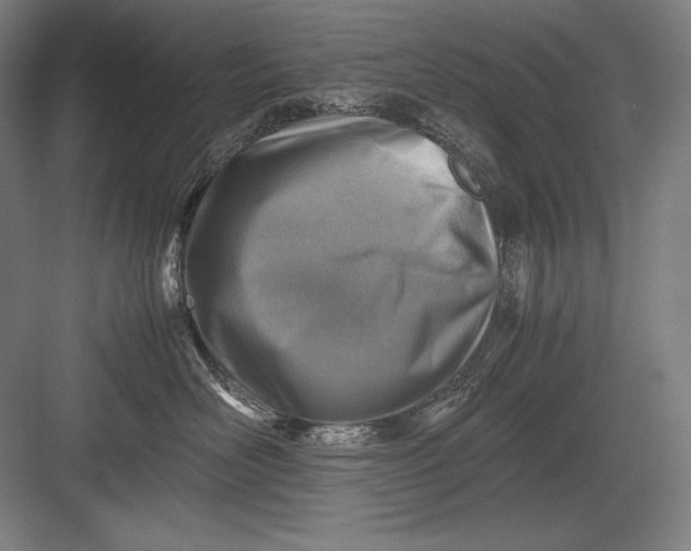 X0000082990526200702160027