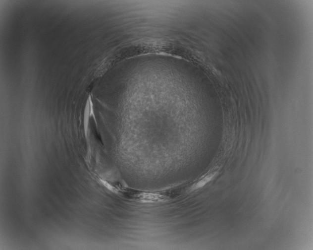 X0000082990528200702160027