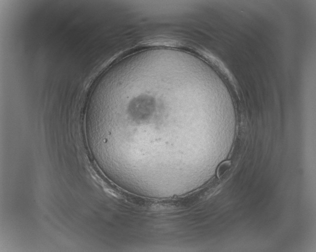 X0000082990529200702160026