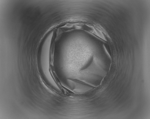 X0000082990530200702160026