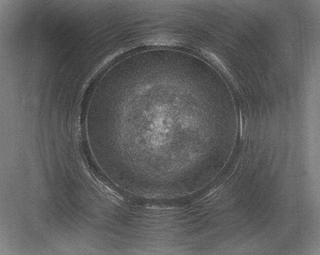 X0000082990531200702160026