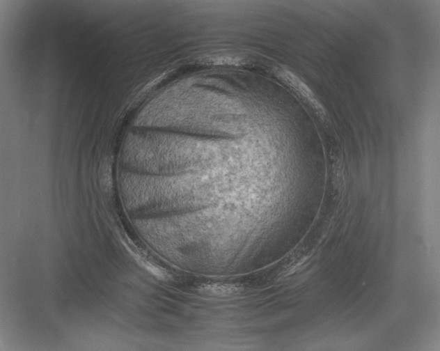 X0000082990537200702160026